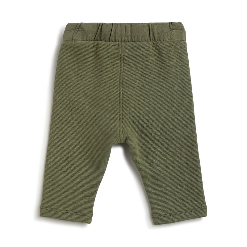 Boys Medium Green Solid Trouser image number 1